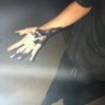 opalapoo's profile picture
