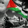 ahmed hussien's profile picture