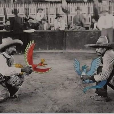 chefwithmeat2's profile picture