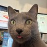 a's profile picture