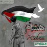 hesham ragab's profile picture