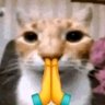 Ásu (🇧🇷-🇺🇲-📝🇮🇹) profil fotoğrafı