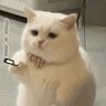 Profilbild von 阿壮OvO