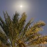 Mohammed bin Abdullah profil fotoğrafı