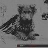 Steven profil fotoğrafı
