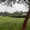 سلوى الخير's profile picture