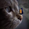endry profil fotoğrafı
