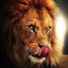 ☞ 𝗟𝗼𝗿𝗱 Nasser☜'s profile picture