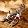 illoooooo's profile picture