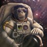 Фото профиля Space Chimp