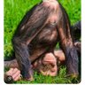Profilbild von BigMike