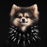 Київський Планетарій's profile picture
