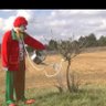 Володар мух's profile picture