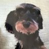 Profilbild von Gigi
