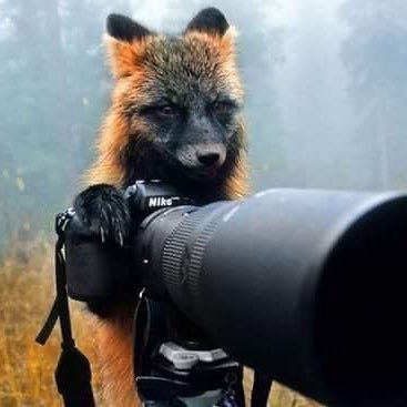 DorothySta46522's profile picture