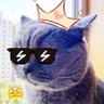 Steve's profile picture