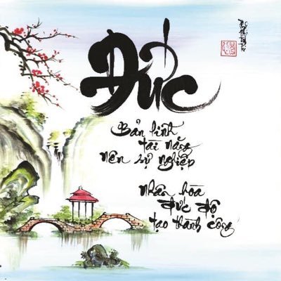 Việt Phi Trung's profile picture