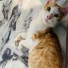 AyaZ profil fotoğrafı