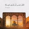 Фото профиля مروان بن محمد ( أبو تميم )