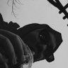seren profil fotoğrafı