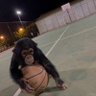 Funky Monkey's profile picture