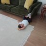 Kemal Alıcı profil fotoğrafı