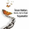 Arı Kovanı 的头像