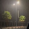 Profilbild von عَلَم