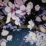 fushiro.bsky.social 的头像