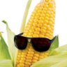 Elon Husk's profile picture