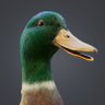 Amber Bellomio (DigitalDuck)'s profile picture