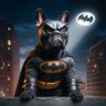 Profilbild von Pdog82