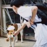 爱过还是做过 profil fotoğrafı