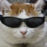 Profilbild von นี่ก็รัก นั่นก็ห่วง