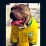 Cacaoznyc's profile picture