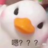 舟舟's profile picture
