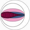 sarahsecrets - Zeppleinætrix's profile picture