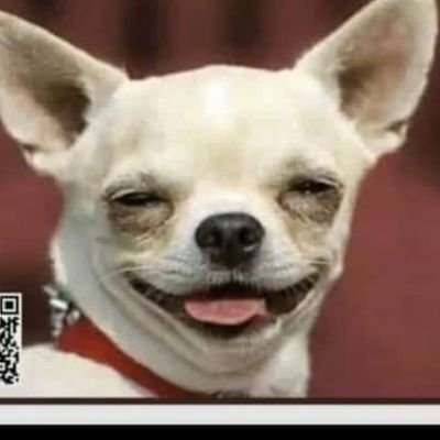 Tekkalekker's profile picture