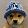 Bhavish's profile picture