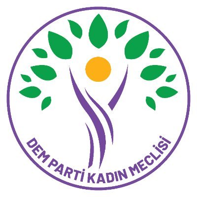 DemPartiKadin's profile picture