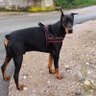 darkeva profil fotoğrafı