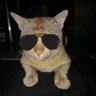 Profilbild von Md Naushad