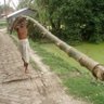टिम्बर मर्चेंट 😉 profil fotoğrafı