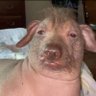 Sam's profile picture
