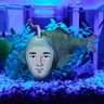 Фото профиля マイネル所長