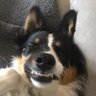 Profilbild von mike