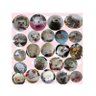 クミコ🦔5🐭3🐢1💕's profile picture