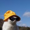 Profilbild von Cot