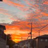 skycolor 的头像