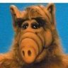 Profilbild von Chester Makgomery